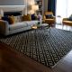 Handmade Tribal Cotton and Wool Handknotted Rug for Artistic Decor